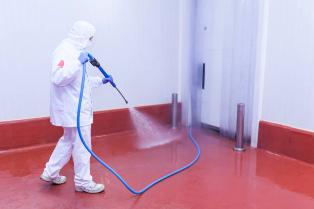 Best Brick and Stone Cleaning in Davenport, IA